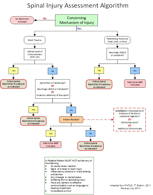 Spinal Assessment 2014-07.jpg